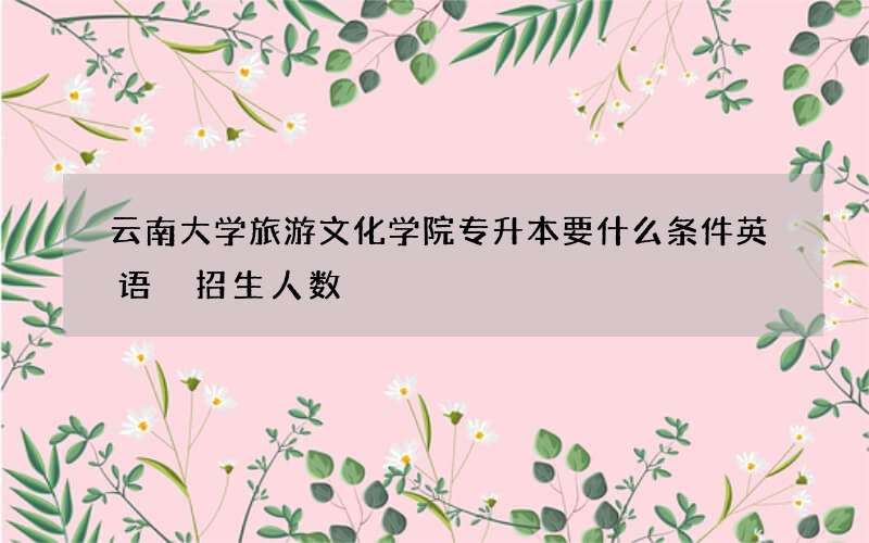 云南大学旅游文化学院专升本要什么条件英语 招生人数